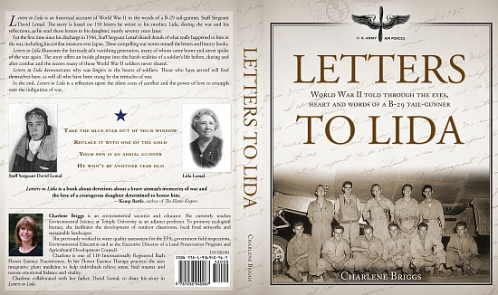 Letters to Lida